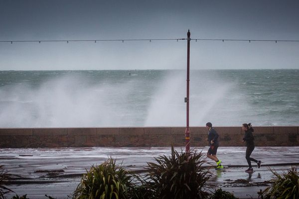 Gale force warning issued