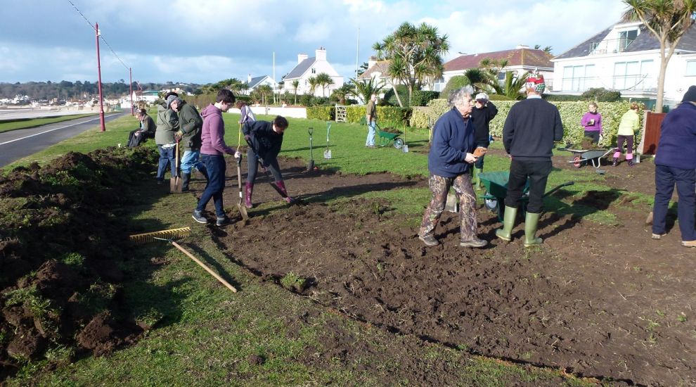 RBC Wealth Management staff dig deep to preserve one of Jersey's rarest plants