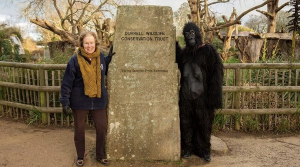 No monkey business! 'Will from the Till' breaks gorilla world record