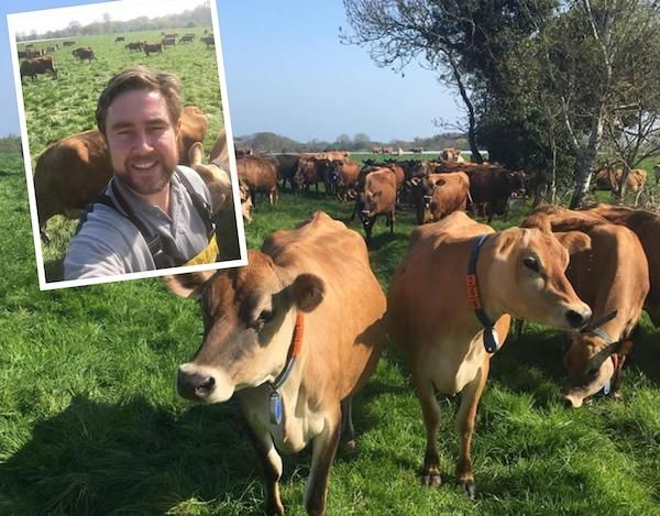 WATCH: Enjoying the sun? So are these cows...