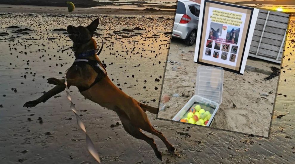 Owner shares tennis ball beach tribute to beloved dog 'Ninja'