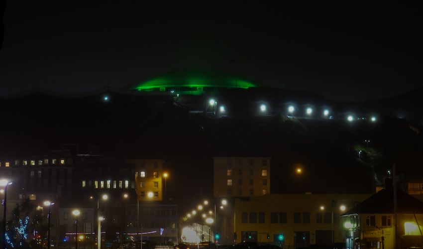Fort goes green to highlight child neglect