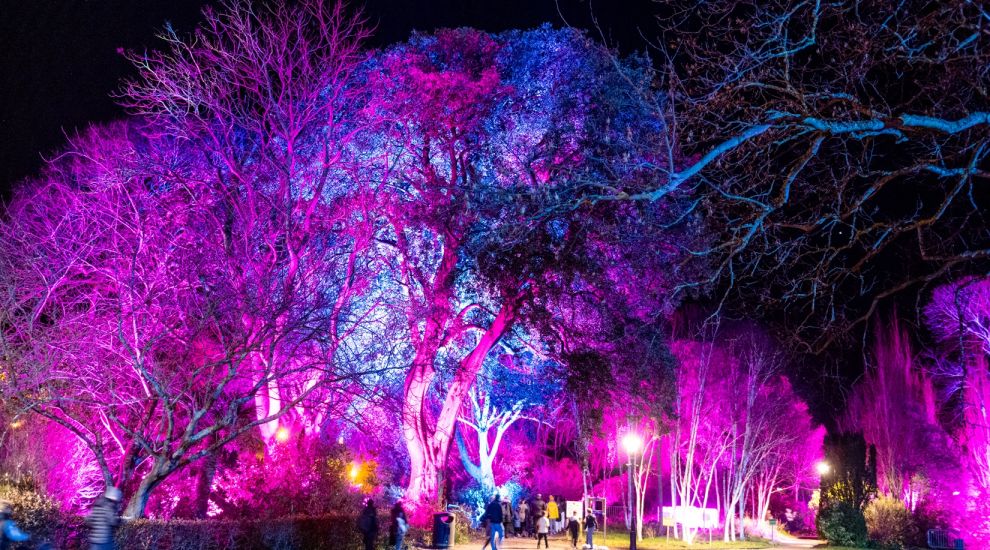 Increase in visitors for second 'Dreaming Trees' exhibition