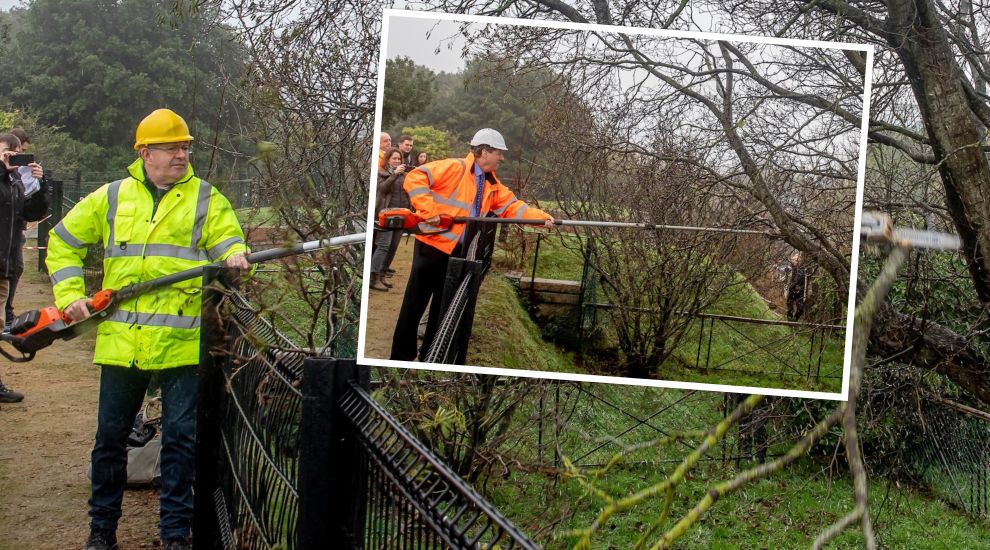 WATCH: Ministers clear up dead wood for 'walkway in the sky'