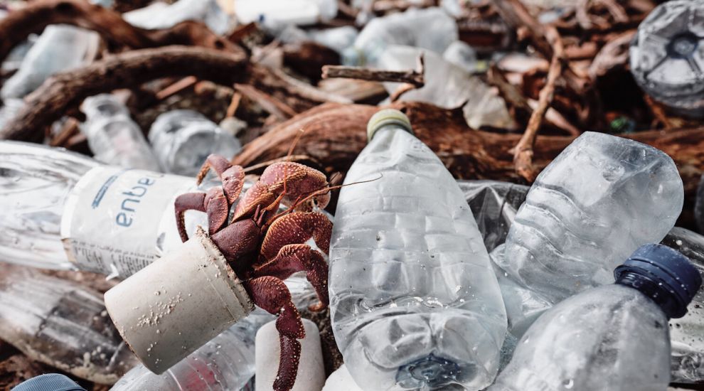 Plastic crab shell snap lays bare ocean pollution