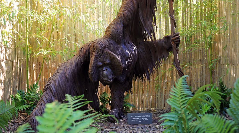 GALLERY: Orangutan sculpture swings into zoo