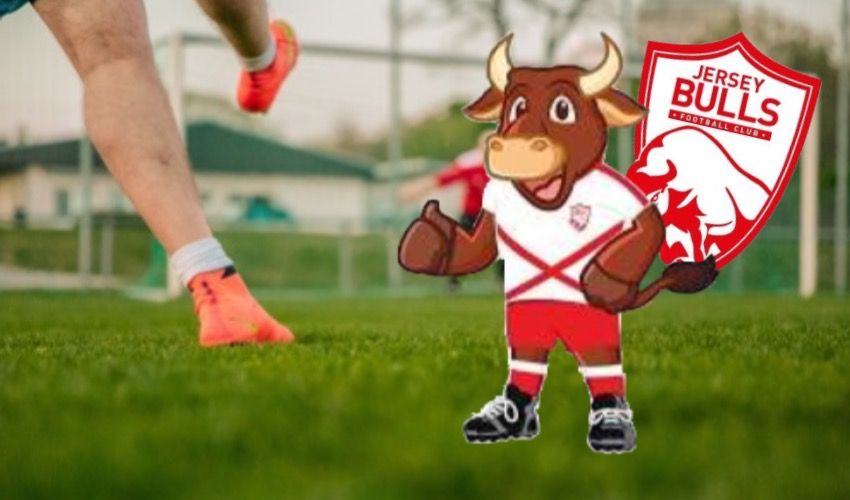 Can you help the Bulls mascot score a new name?