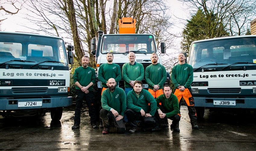 Tree surgeon awarded 'gold standard' in tree care