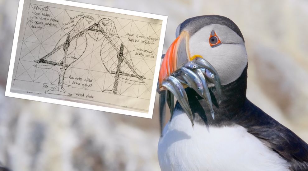 Plans for Plemont to become new Puffins' Place