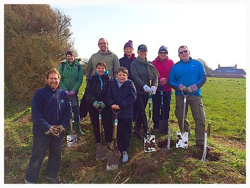 RBC plant more than 200 trees for Jersey Hedgerow Campaign