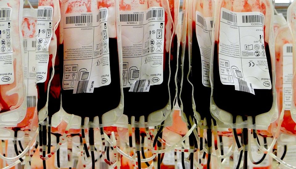 Blood facilities upgrade likely to be delayed 3 months