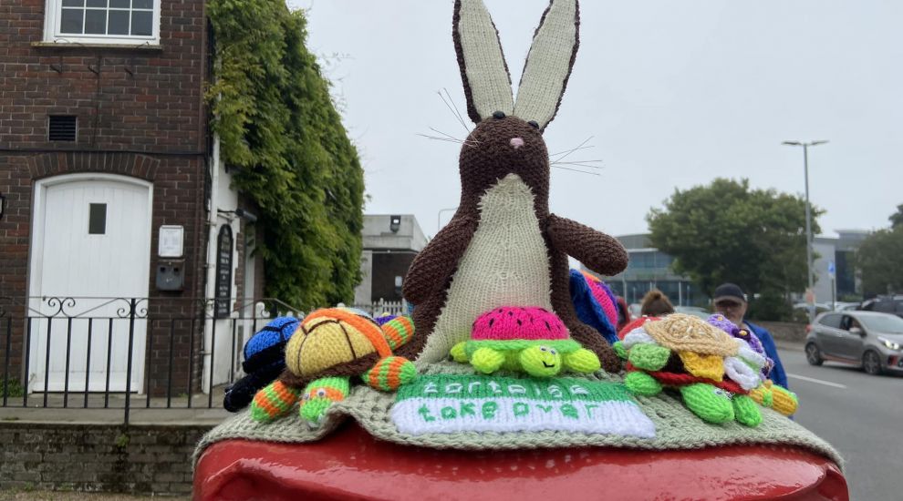 Jersey's 'Yarn Banksy' adds new stop to tortoise trail