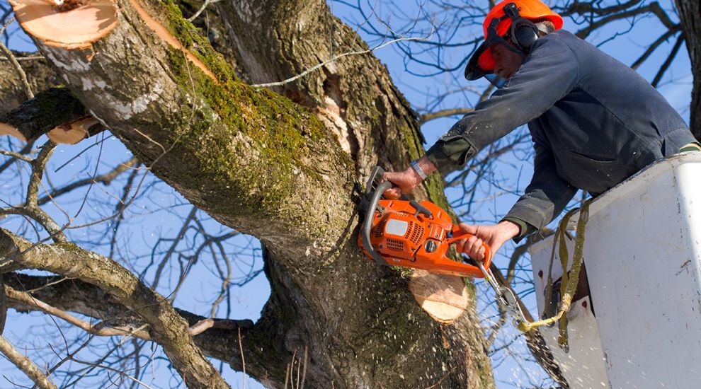 Jersey Freemasons agrees equipment maintenance grant for Jersey Trees for Life
