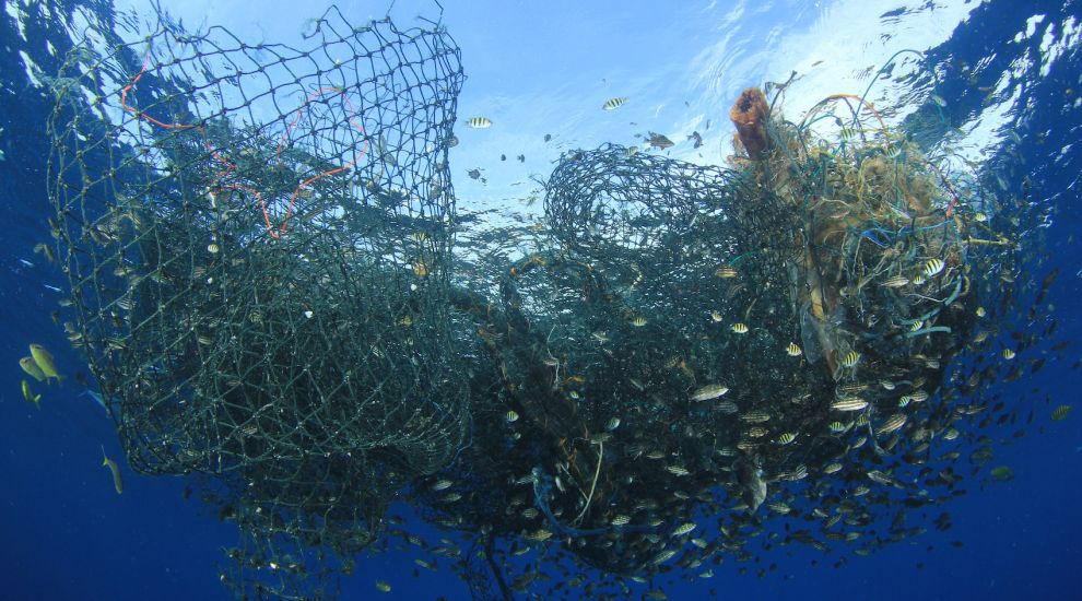 Biodegradable pot trial hopes to make local fishing more sustainable