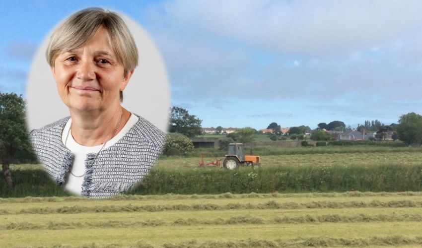 Deputy backs bid to save St. Helier dairy fields