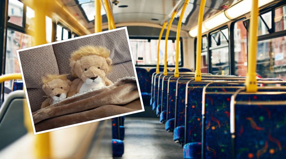 Can you help this lost lion cub find his dad?
