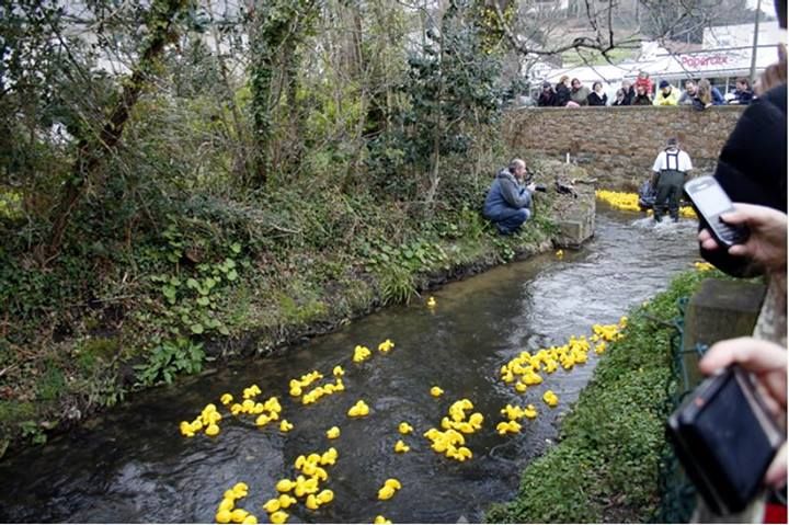 Hundreds billed to take part in annual duck race