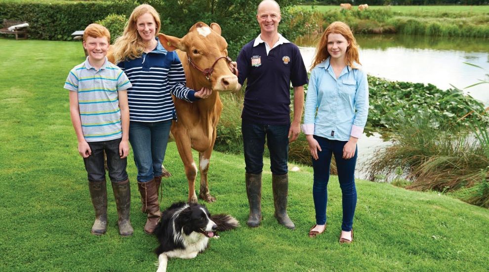 Sark's dairy launches crowdfunder for its future
