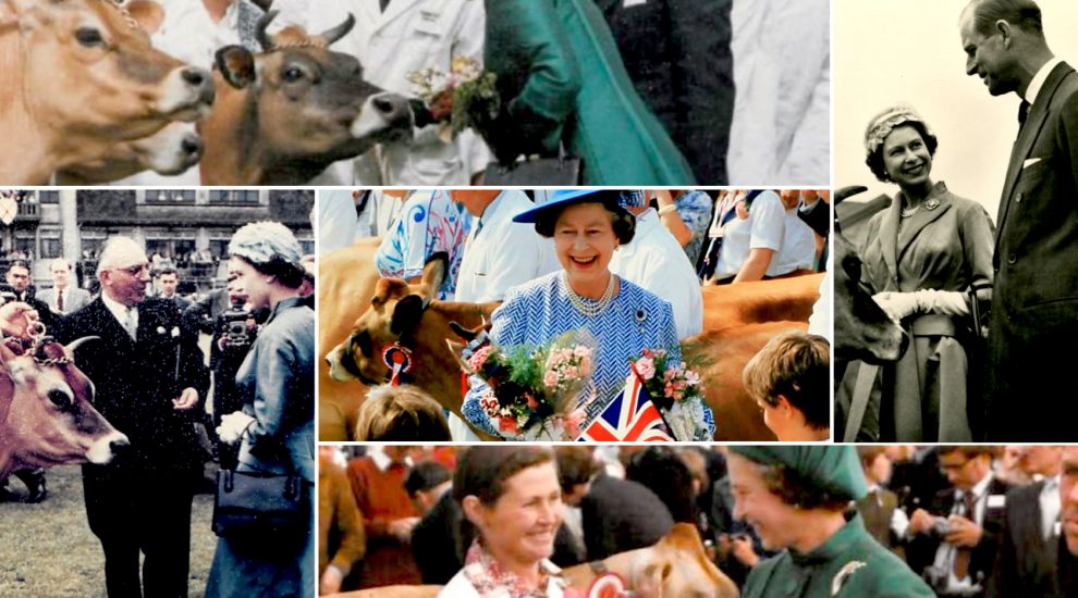 Jersey cows: A right Royal love affair
