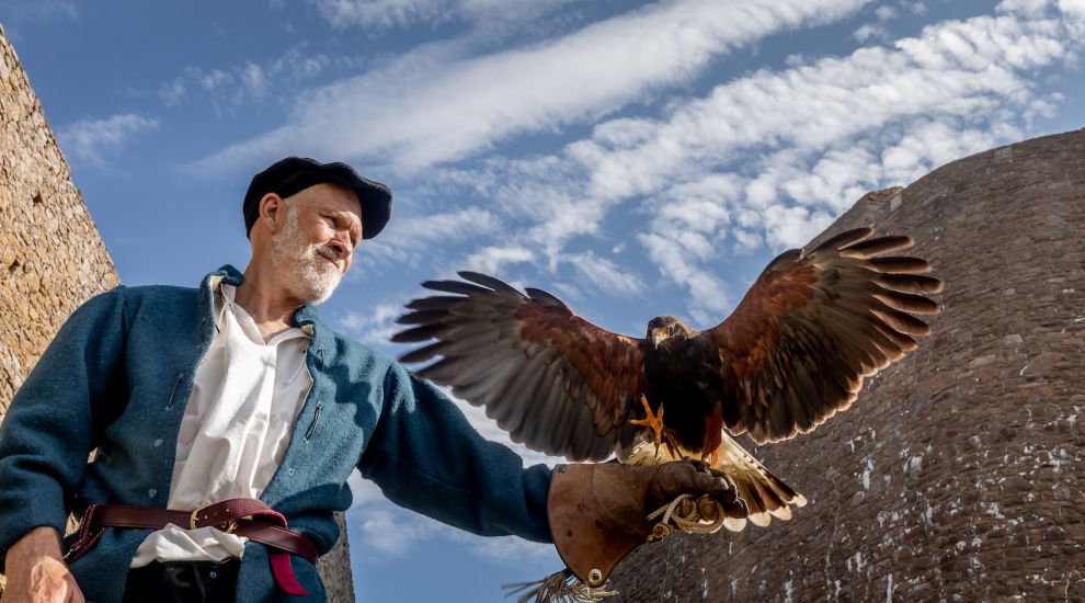 FOCUS: From finance... to falconry