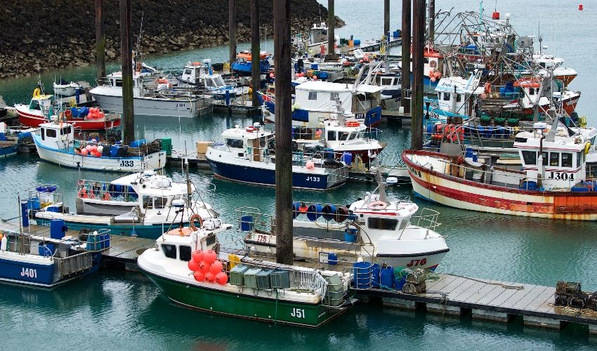 Plan for all commercial fishing boats in Jersey waters to carry trackers