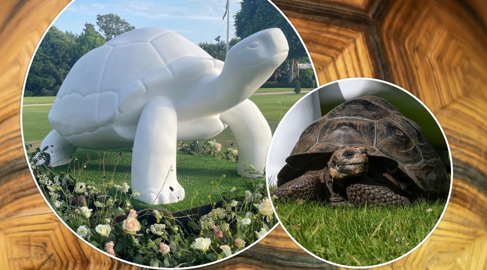 REVEALED: Tortoise sculptures to take over Jersey