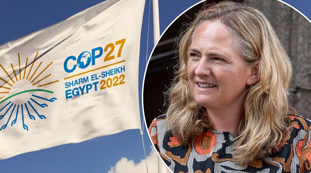 Assistant Minister pledges to offset COP27 flight emissions