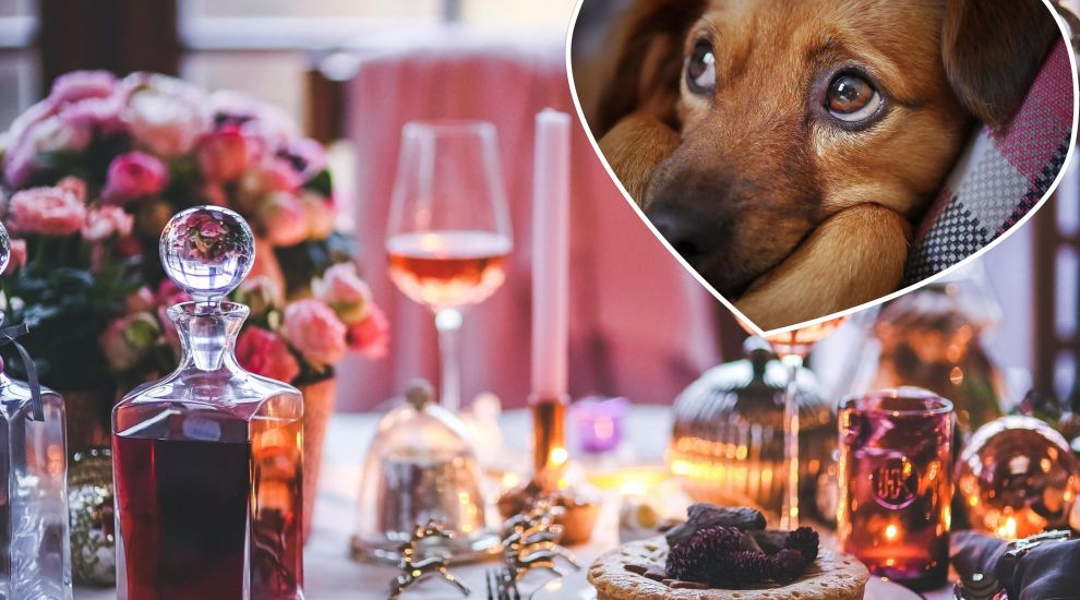 Three is the magic number for dog lovers this Valentine's Day