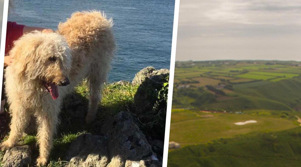 Body of missing dog found on cliff paths