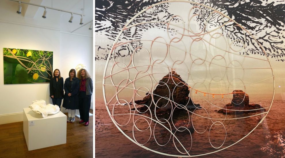 CCA Gallery exhibition a result of ‘happy collision’ between artists