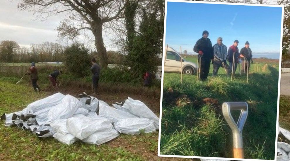 Way to grow! Charity's hedge planting project reaches 30 miles