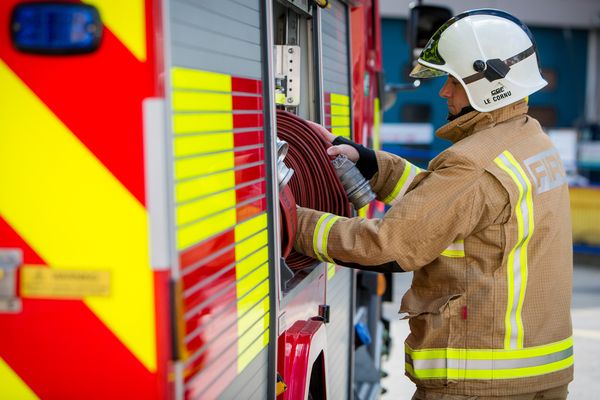 Dogs killed in fire at rescue centre