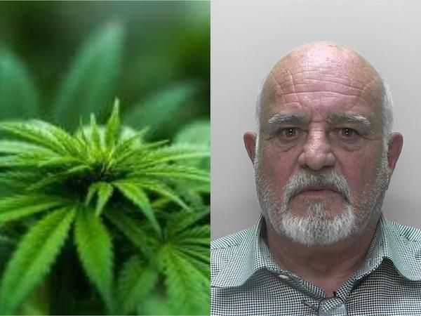 Cannabis ‘doctor’ sent to prison for 2 years