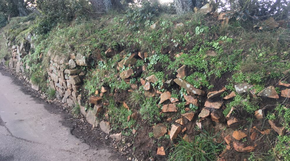 Cash call to repair Jersey’s historic - but crumbling - stonewalls