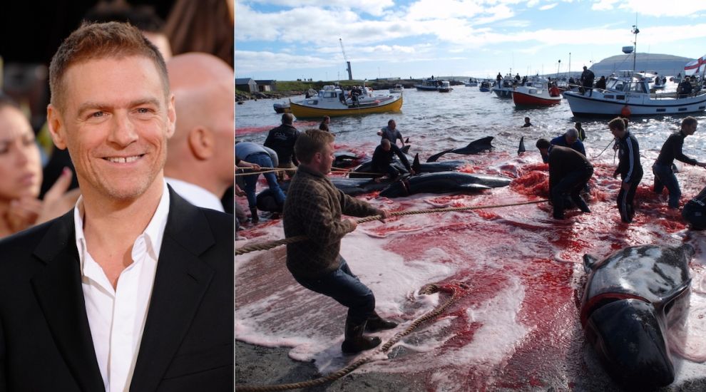 Summer of '69 legend praises Jersey for dolphin slaughter condemnation