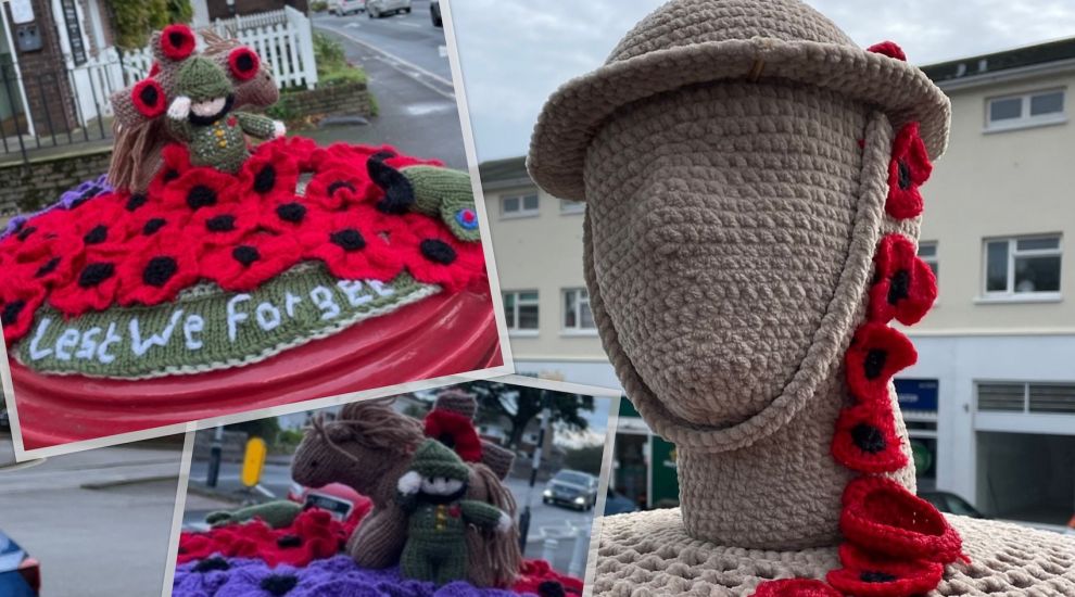 Mystery knitters share Remembrance Day ‘postbox cosy’ creations