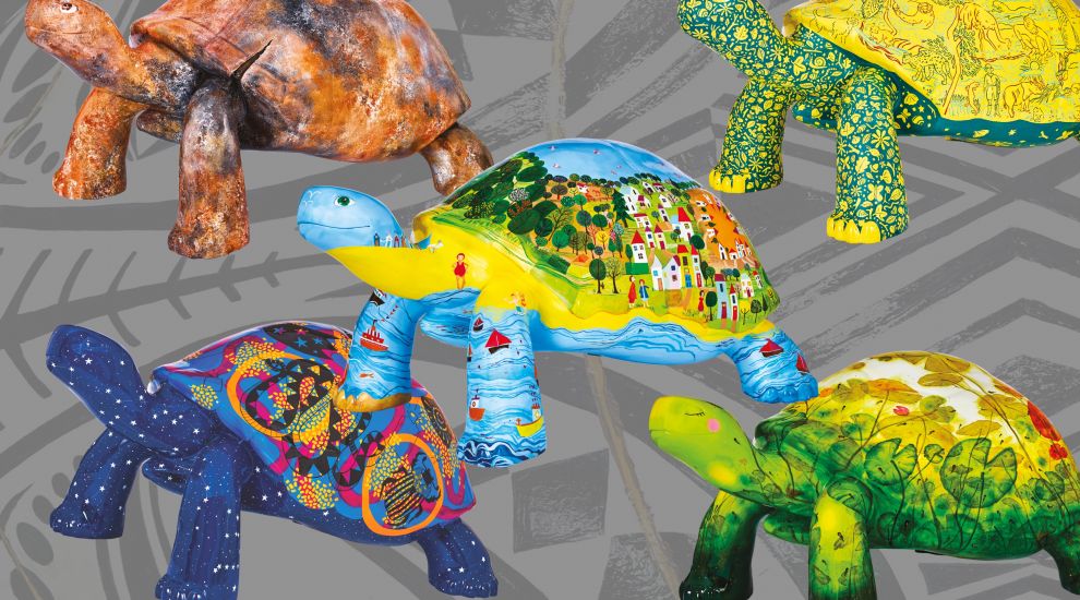 MEET THE TORTOISES #4: My tortoise family and other sculptures