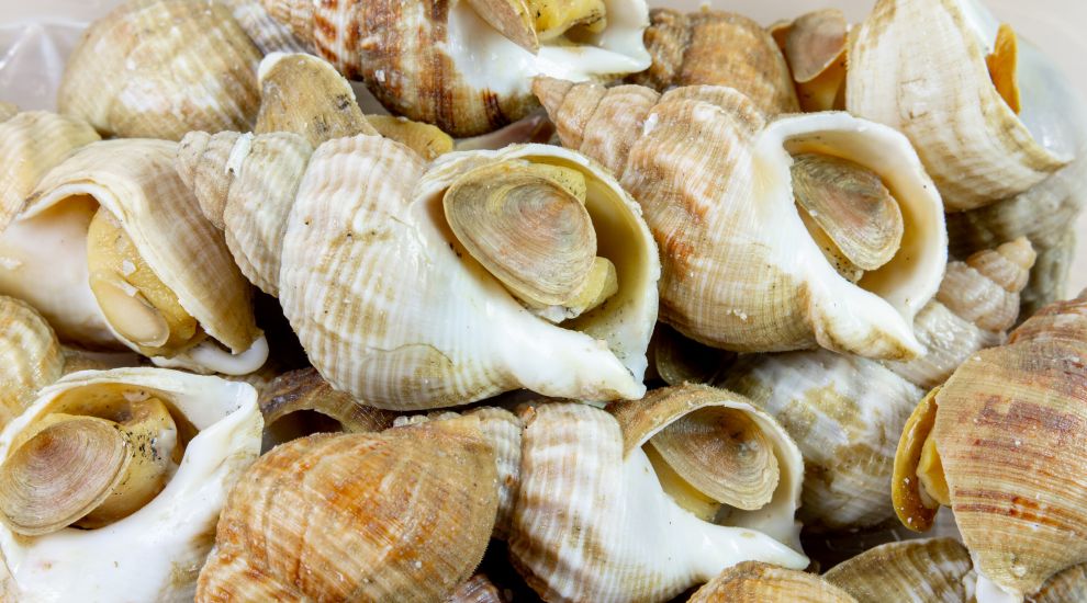 Jersey seizes French whelk pots as new licence regime beds in