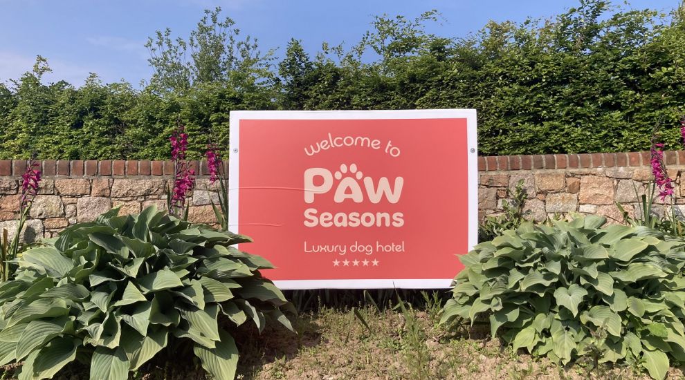 WATCH: Paw-some luxury! Islander opens Jersey's first five-star dog hotel