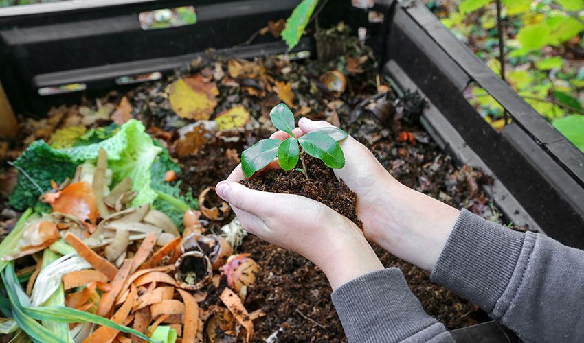 For peat’s sake! Time for governments to tackle climate change with compost ban