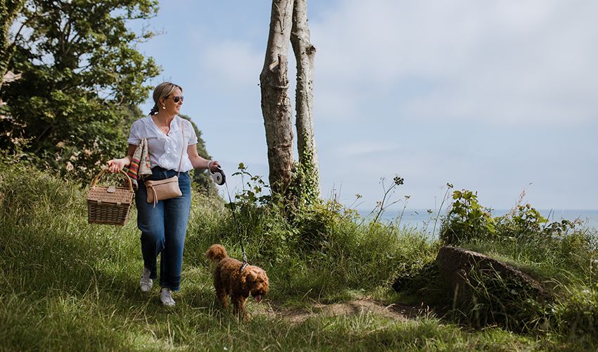 The Jersey National Park is encouraging us to pick-up-a-picnic and enjoy the Park this summer