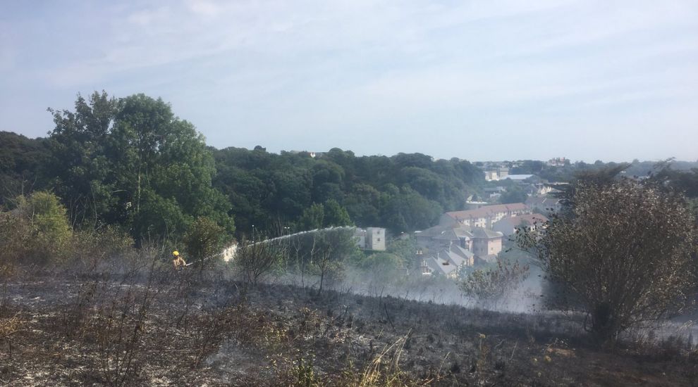 Campfire sparks Trinity Hill blaze