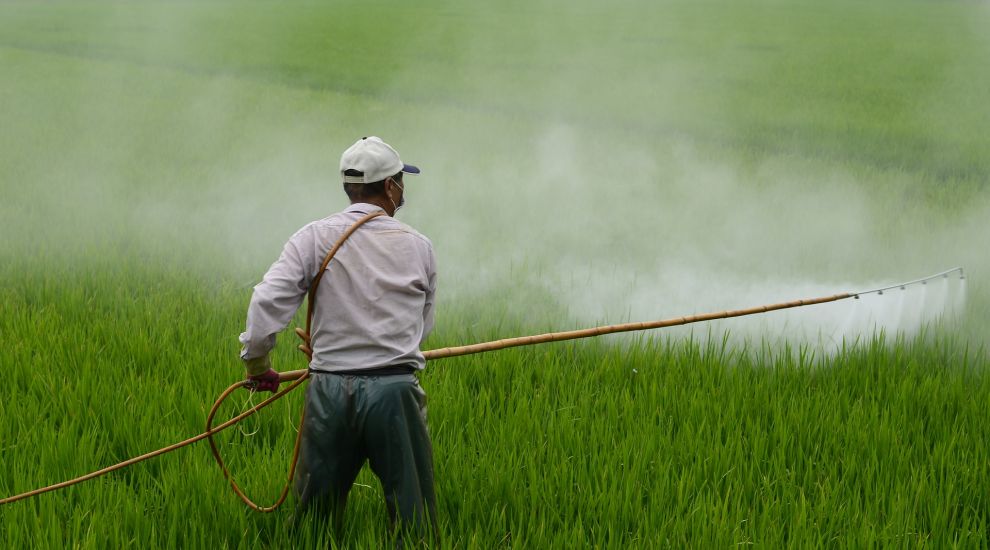 No ban planned for controversial weedkiller