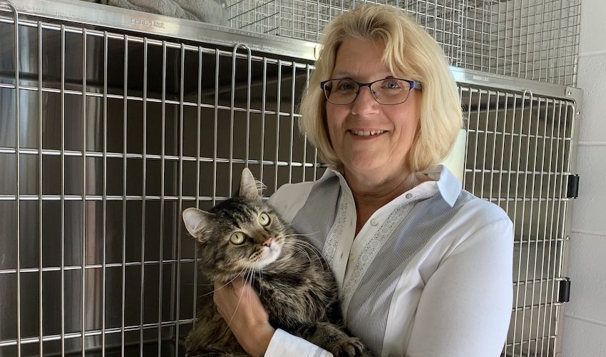 Animals' Shelter appoints new CEO