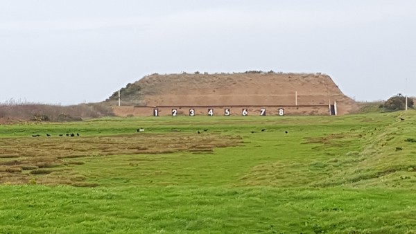choughs_at_Crabbe_2.jpg