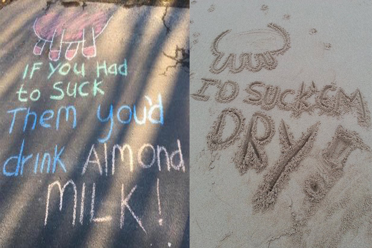 vegan chalk anti-vegan