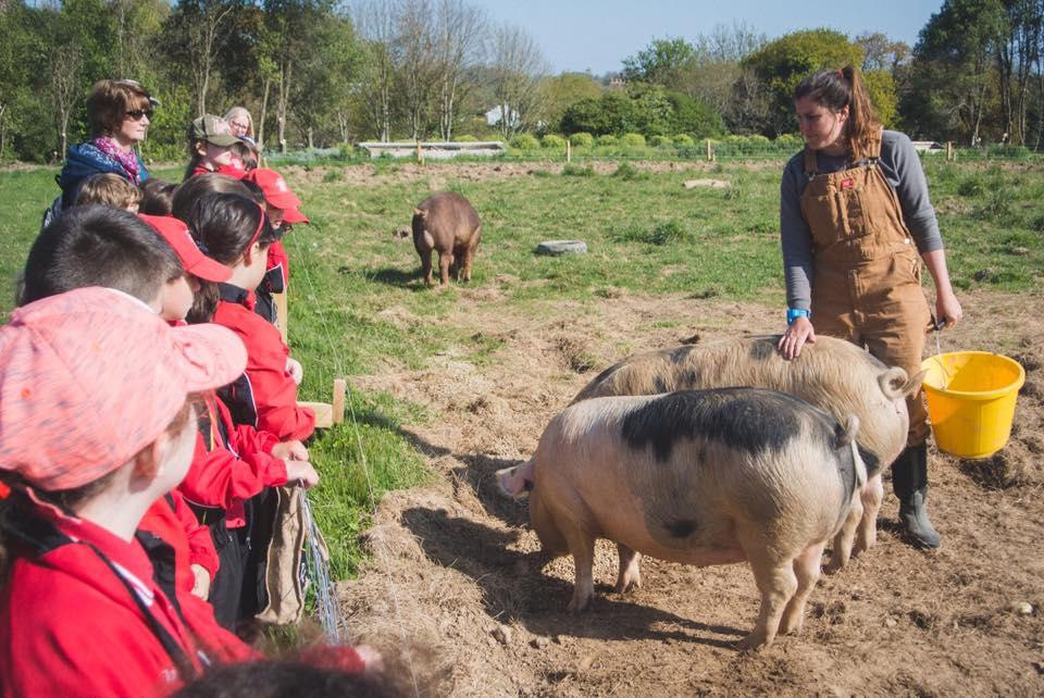 farm_school.jpg