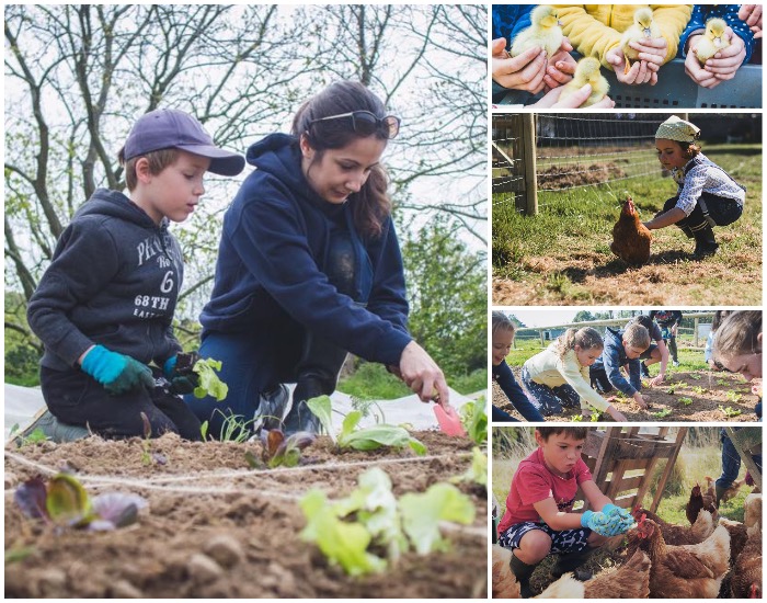 farm_school_collage.jpg