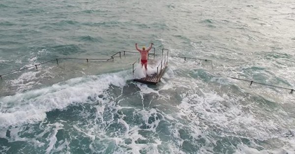 Adrian Sarchet Sea Donkey