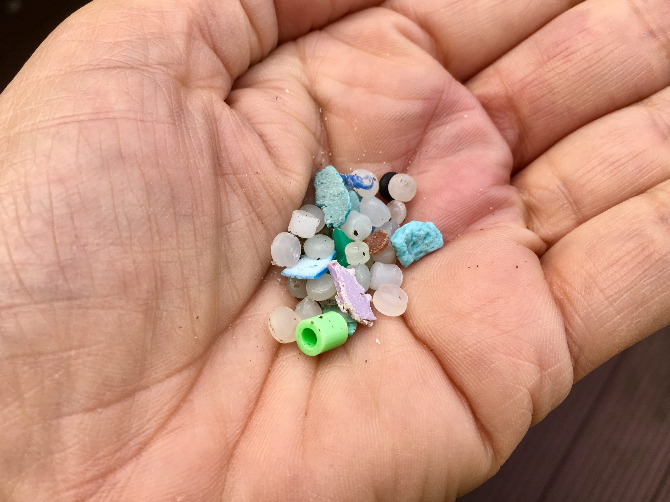 Microplastics Sheena Brockie